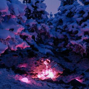 田中宁宁作品在线观看
