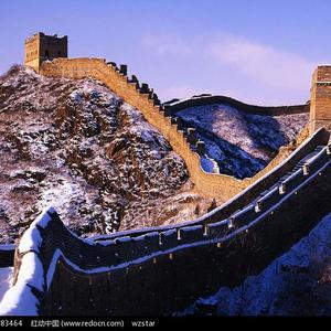 田中宁宁作品在线观看
